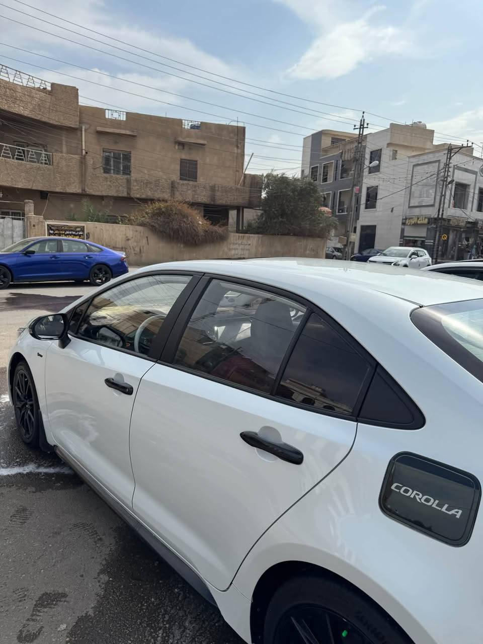كورلا بلاك ادشن • هايبرد • مرقمه بغداد