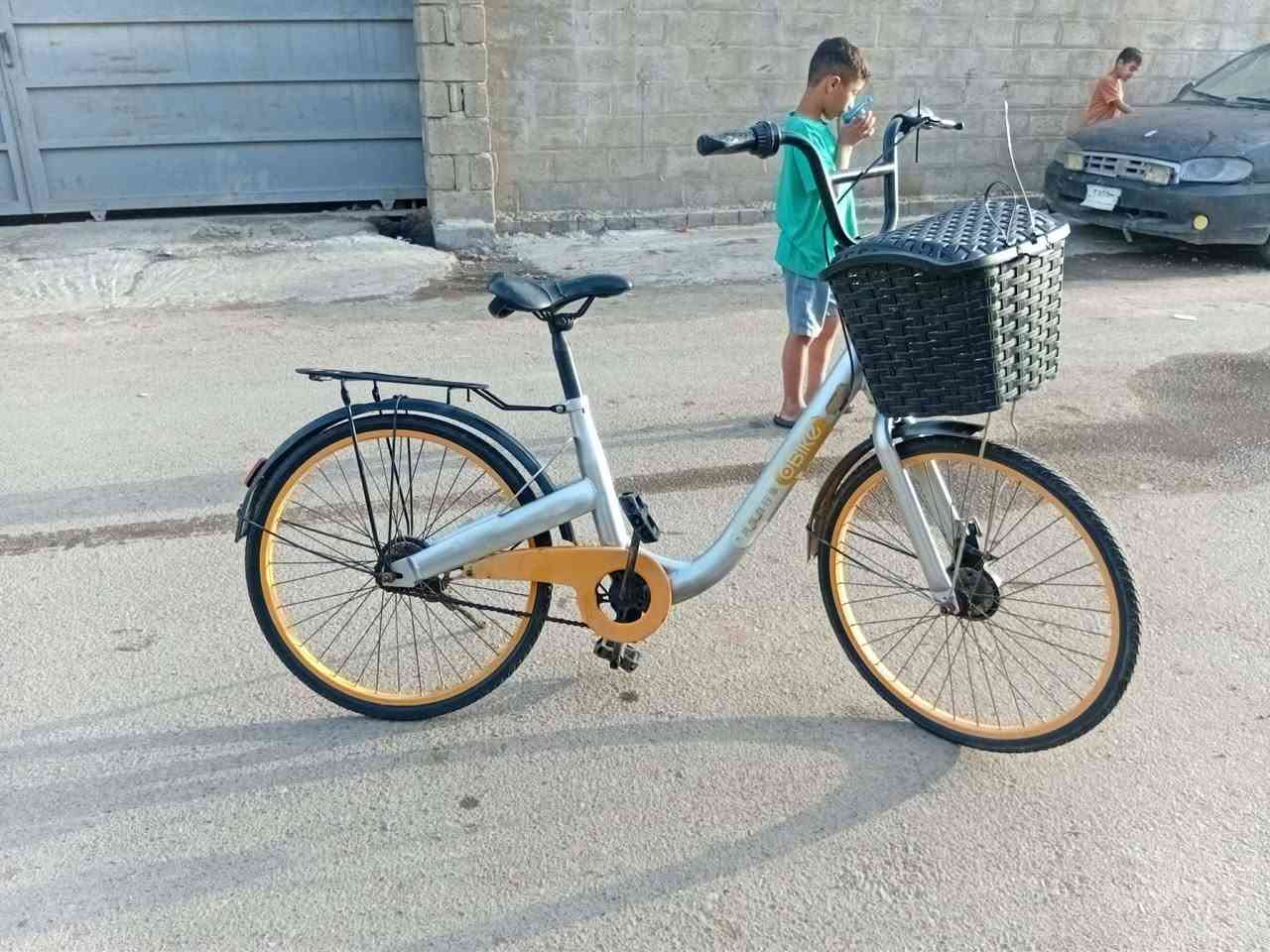 حجم ٢٤ • كوري • بحالة الشركة