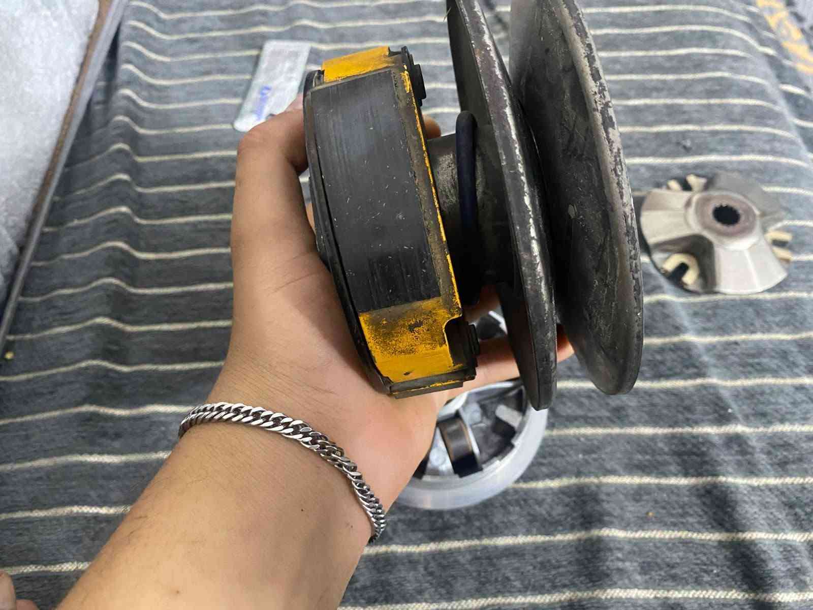 سكنس ثعلب • مكفولات • معدلة امامي