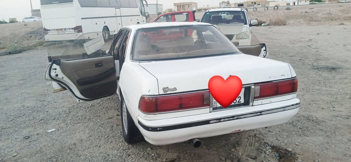 كصيف • ١٩٩١ • قضاء الفهود