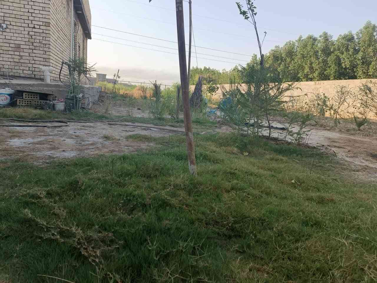 السلام عليكم
بيت مع نص دونم للبيع..الموقع تقاطع النهروان قرية السادة النعيم قريب على تكسيات الجسر الفرنسي 

مساحة البيت ٢٠٠ ومساحة المزرعة ١٢٠٠

متوفر ماء وكهرباء وسحب ونت مع ماء سقي دائم

يحتوي على ٣٠ فسيلة نخيل مختلفة

عرض الشارع ١٥ ويبعد عن الشارع العام الرئيسي ٨٠٠ متر

الأرض عقد ١١٧  وصاحب العقد ساكن في نفس الأرض
السعر ٩٠ 

اي استفسار واتساب

***********
