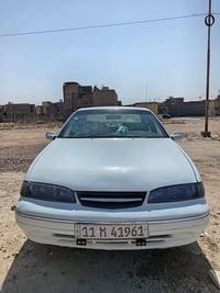 برنس فراشه • ١٩٩٦ • صبغ