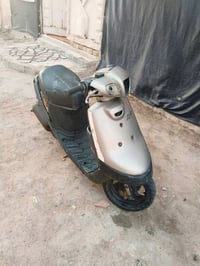 بطة • للبيع • اتصال