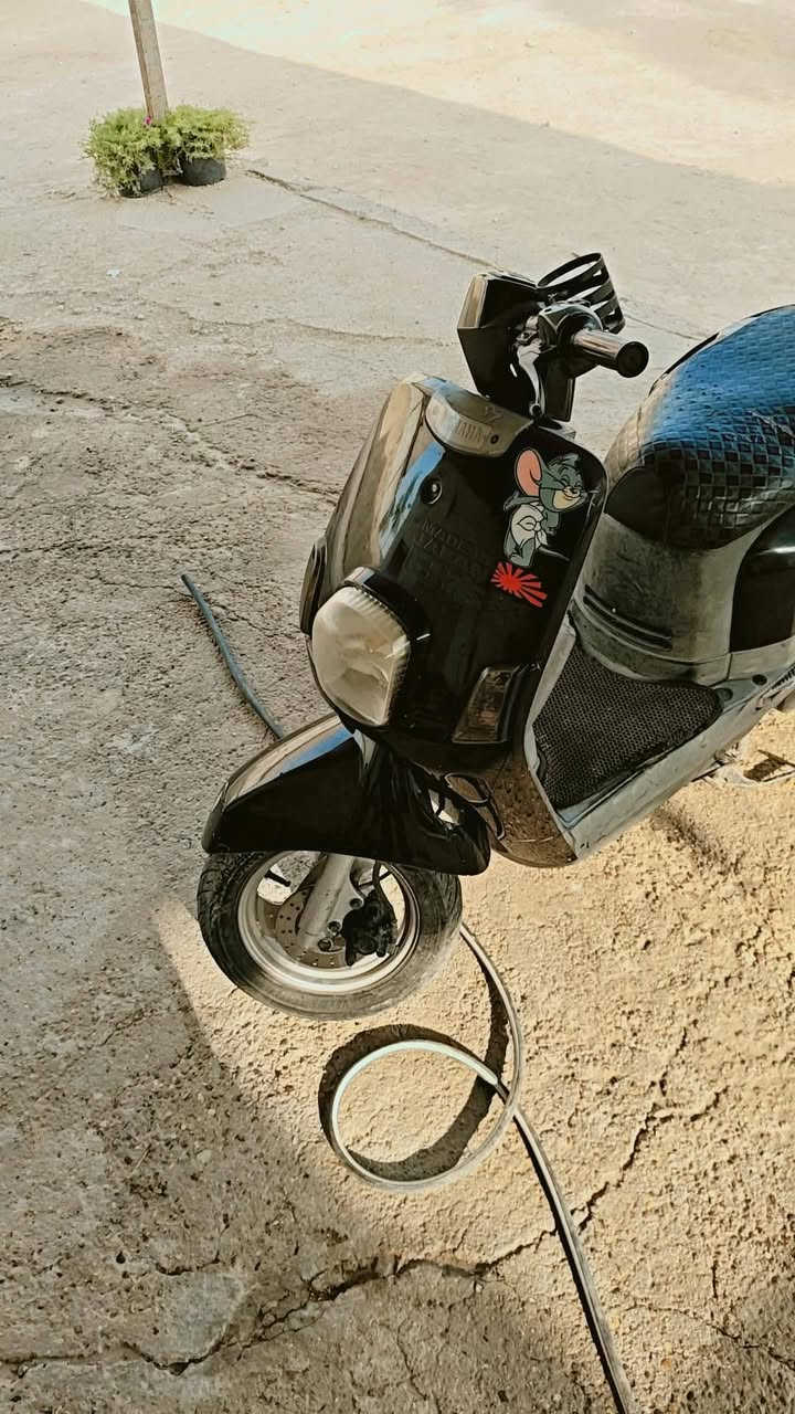 بوليس • نضيف • للبيع