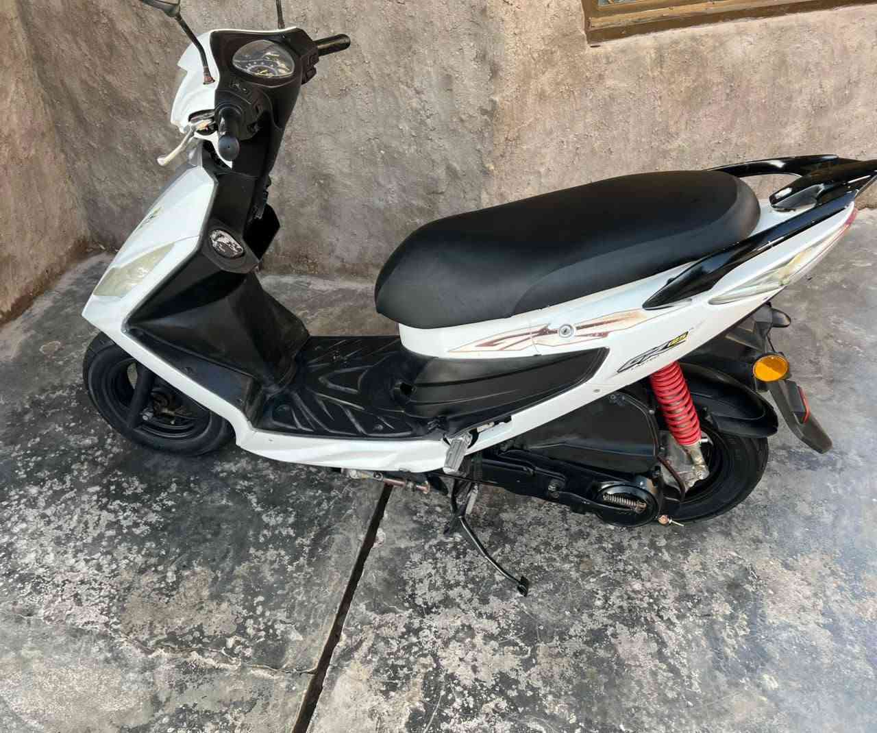 نحلة • نضيفة • بدون اوراق