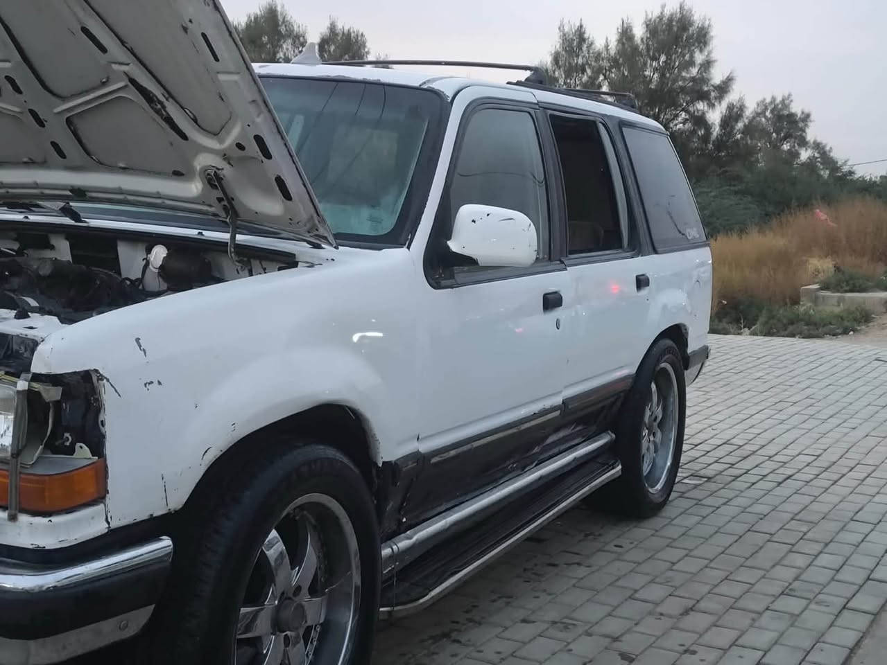 اكس بلور • رقم ميسان • اوراق