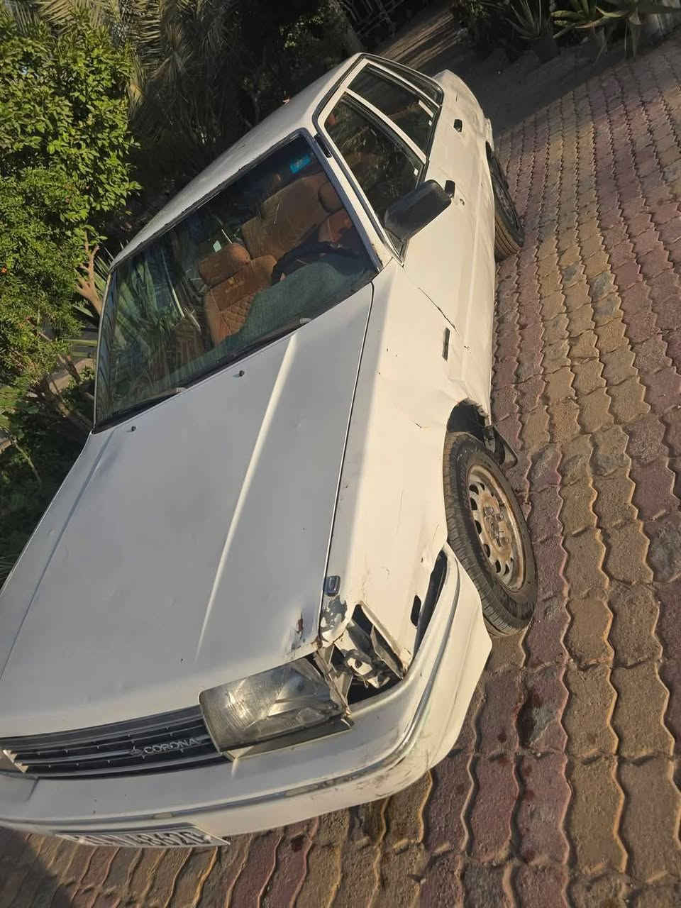 كرونا • ٨٧ • رقم بغداد