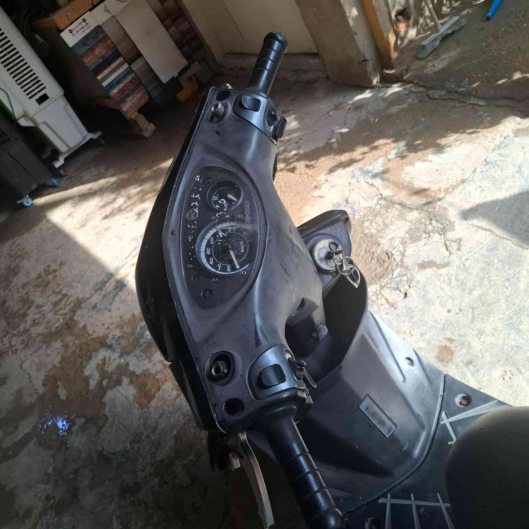ماكس ثعلب • ١٤٠ • كفالة وكاله