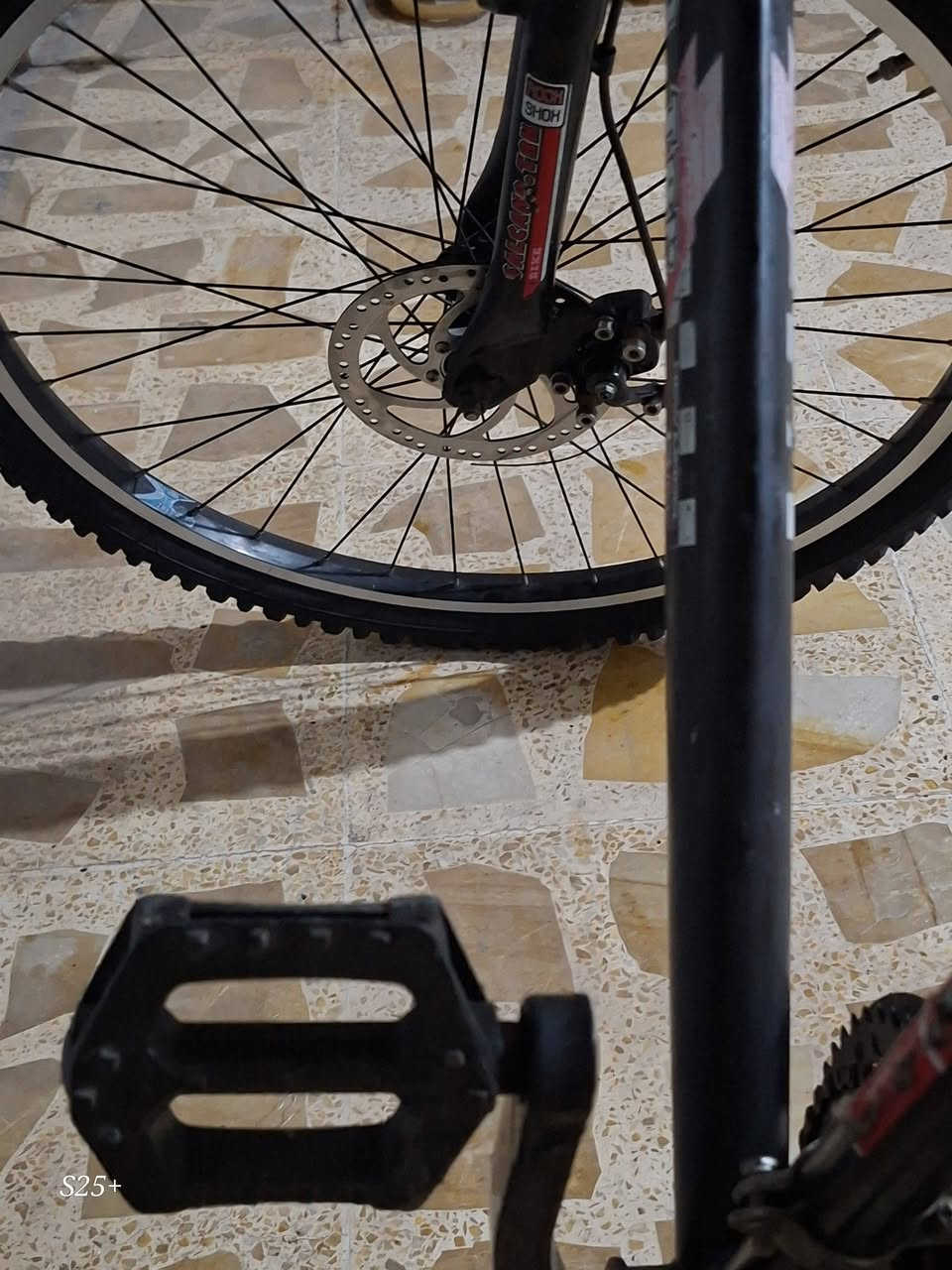Salcano.trk • جبلي • قياس ٢٦/٢١
