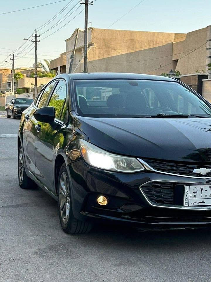شوفر كروز • ٢٠١٩ • وارد أمريكي