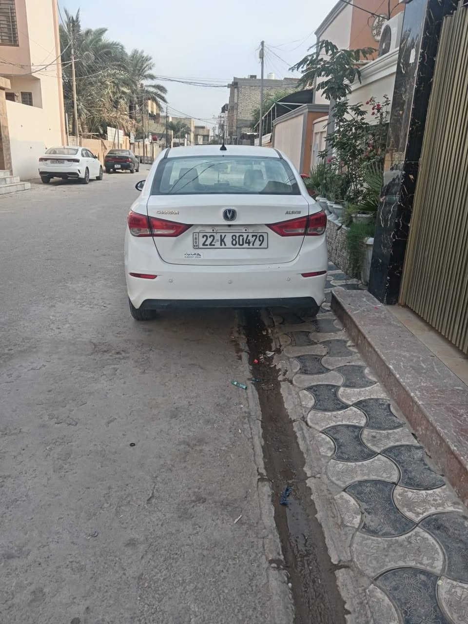 شانجان ال سفن • ٢٠٢٤ • رقم اربيل