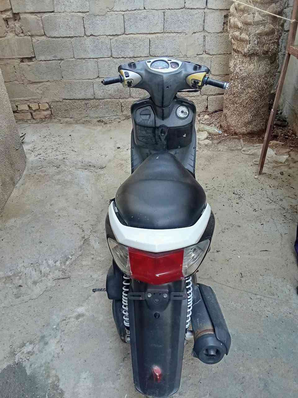 سكنس نثية • ١٤٠ • نضيفه