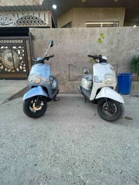 بوليس نوزل • ثنينهن • معدلة