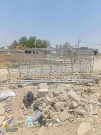 محجر • ٤٫٥م • بصره