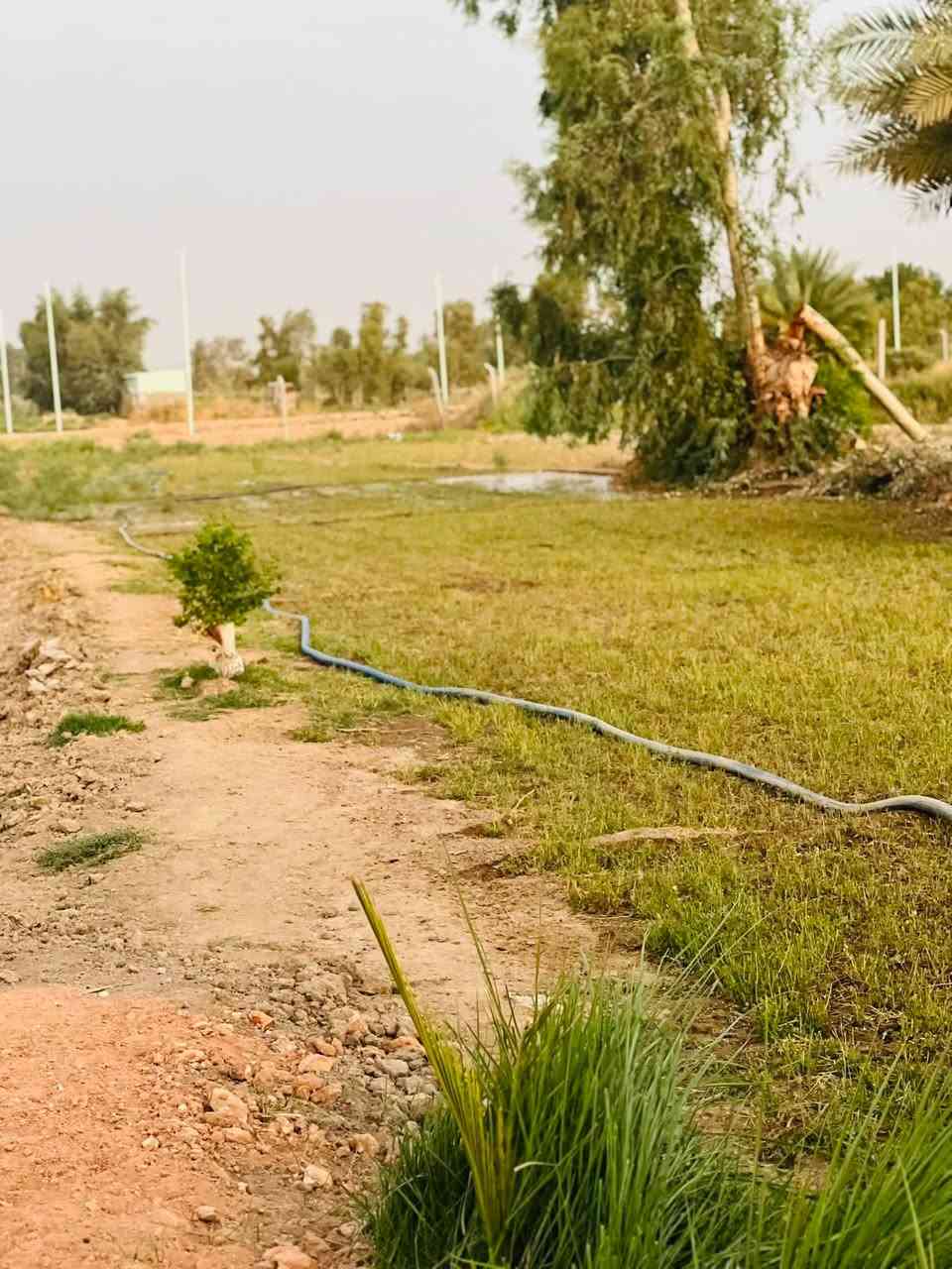 سلام عليكم ورحمة ارض زراعية سند 25 للبيع المساحه دونم ونص ع طريق السنيه خلف معمل الكاشي سيد ابراهيم متوفر كافه الخدمات تبليط بالباب مالتهه يوجد مدرسه ومركز صحي يشتغلون مي اساله مي سقي متوفر للاستفسار الاتصال ***********
