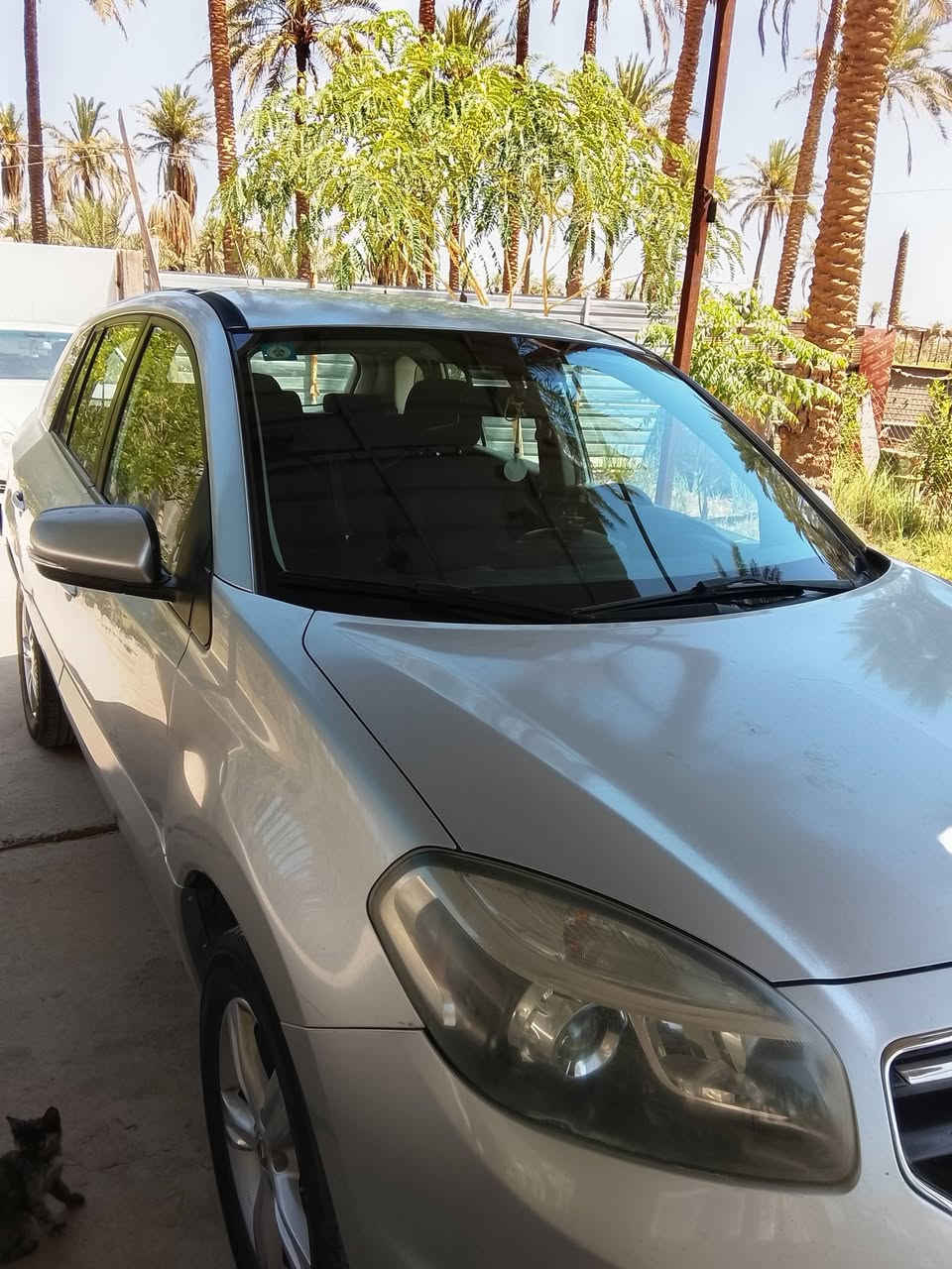 رينو كوليوس • ٢٠١٣ • حله