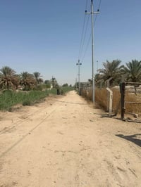 ١٠٠٠م • طابو • مزار الظاهر والمظهر