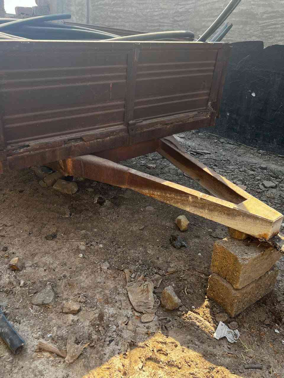 عربانة • ديالى