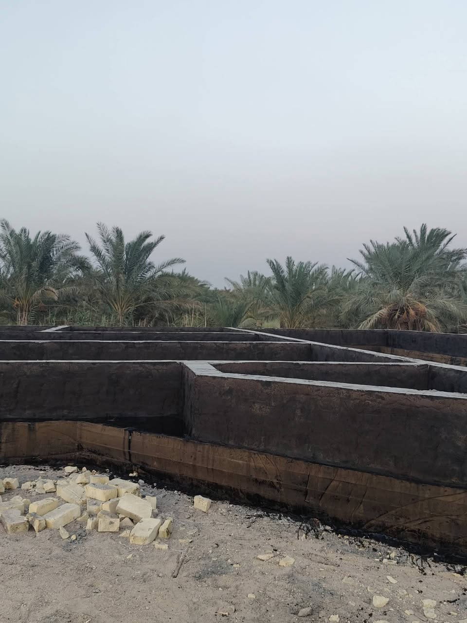 السلام عليكم تزفيت بتلو عمل اليوم ام الشويج

نص مكتوب في الصور:
- ***********
