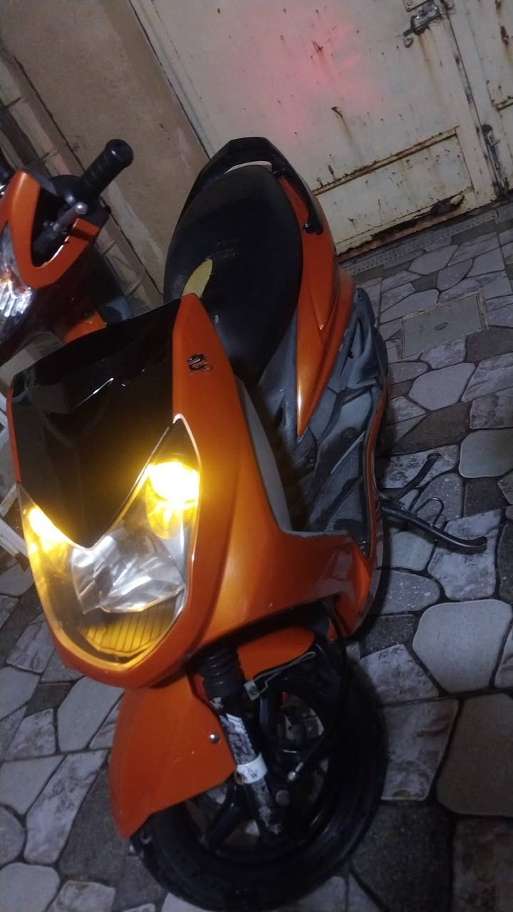 سكنس فحل • مملعوب • شغالة