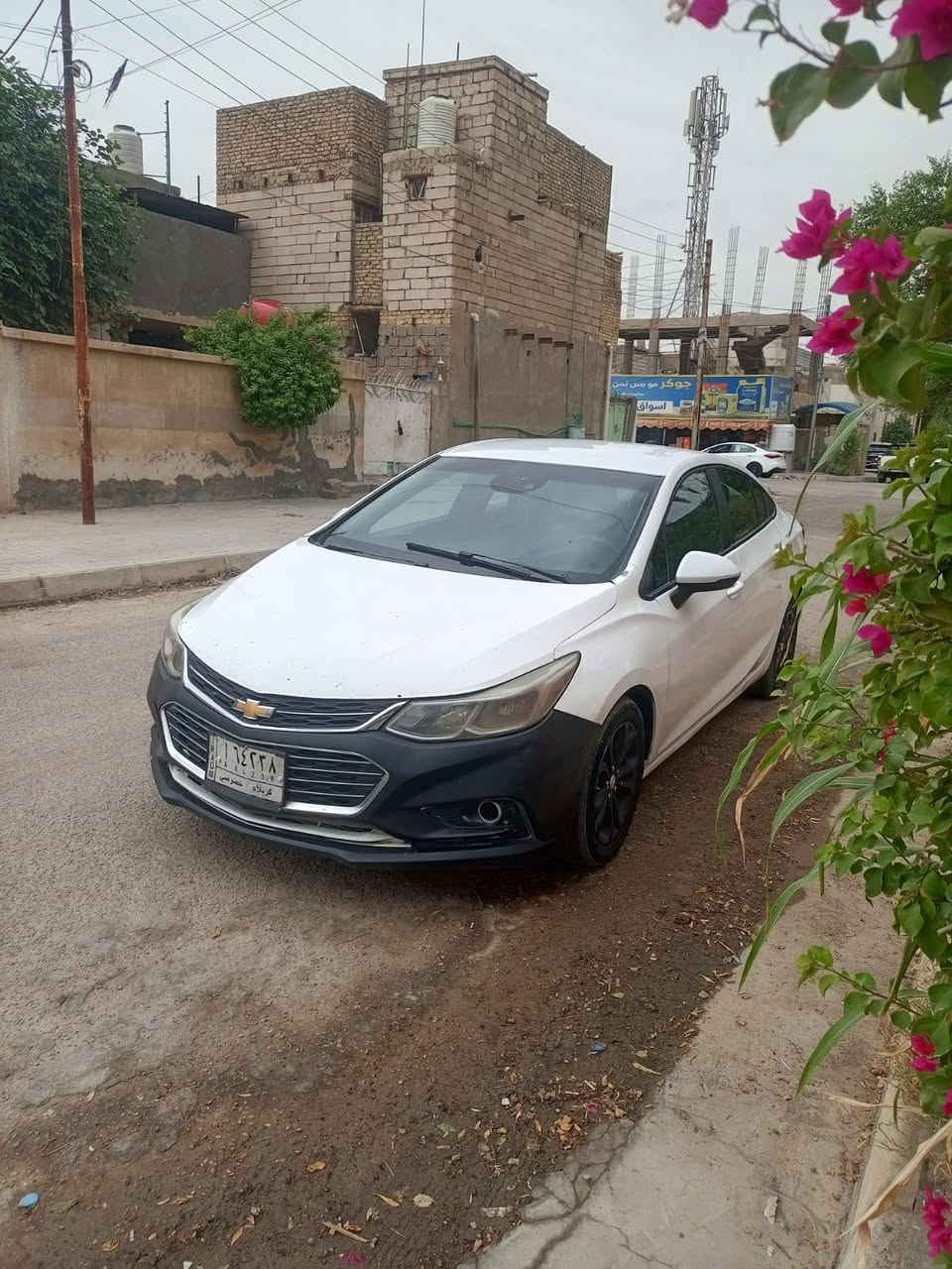 شفرليت كروز • ٢٠١٩ • معوقين