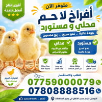 افراخ لاحم • درجة أولى • فقسات ٢٨/٨-١٨/٩