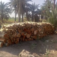 تقليم شجر • مجاناً • كل الانواع