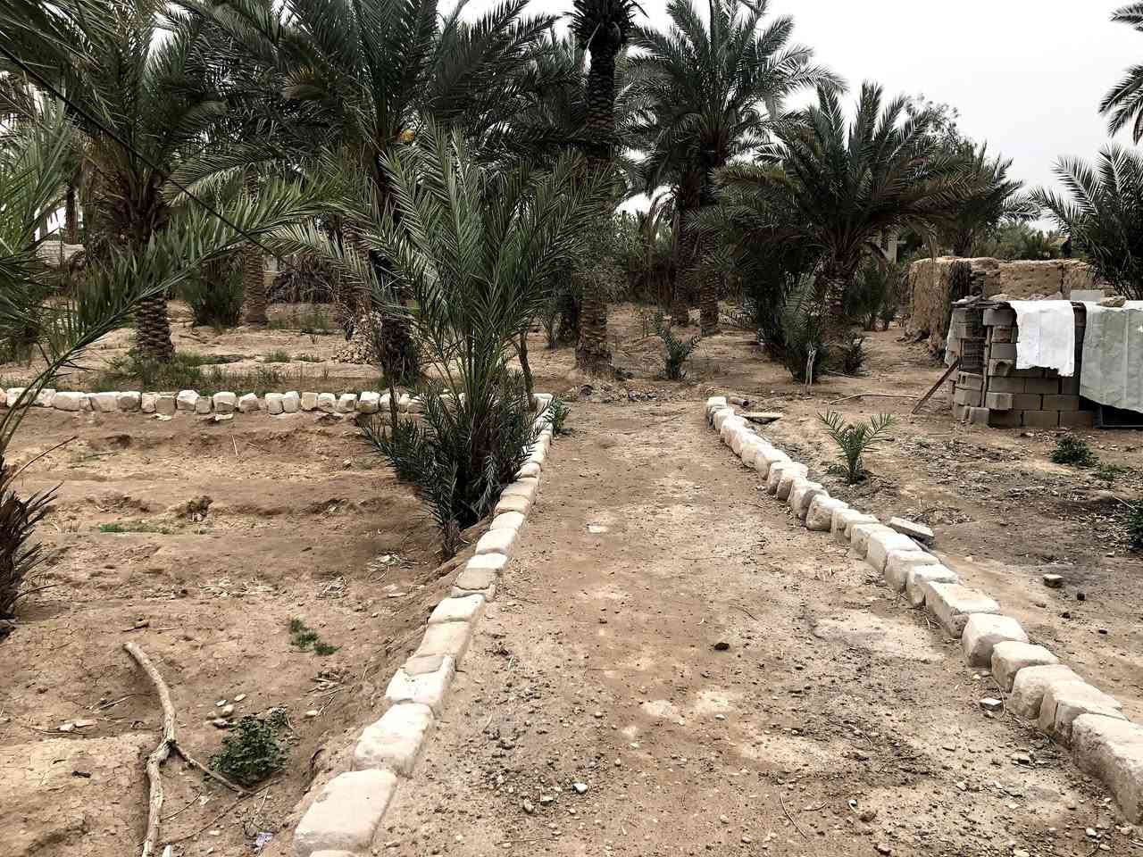 السلام عليكم متوفره قطع زراعي للبيع العرض 5م  ولنزال 23م موقع القطع ابفرع حجي ام عمر المحترمه
تفاصيل أكثر اتصل عله هاذه  رقم ***********

نص مكتوب في الصور:
- المهندس سؤدد الصالحي بيت واثق عبد اللطيف الدكتور علوان كريم 📍شارع العام. Google Maps Baghdad Street
