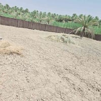 كربلاء الحسينية • ٦٢٥م • طابو زراعي
