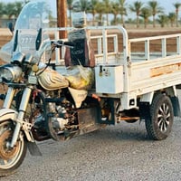ستوته • ٢٠١٧ • اوراق كامله