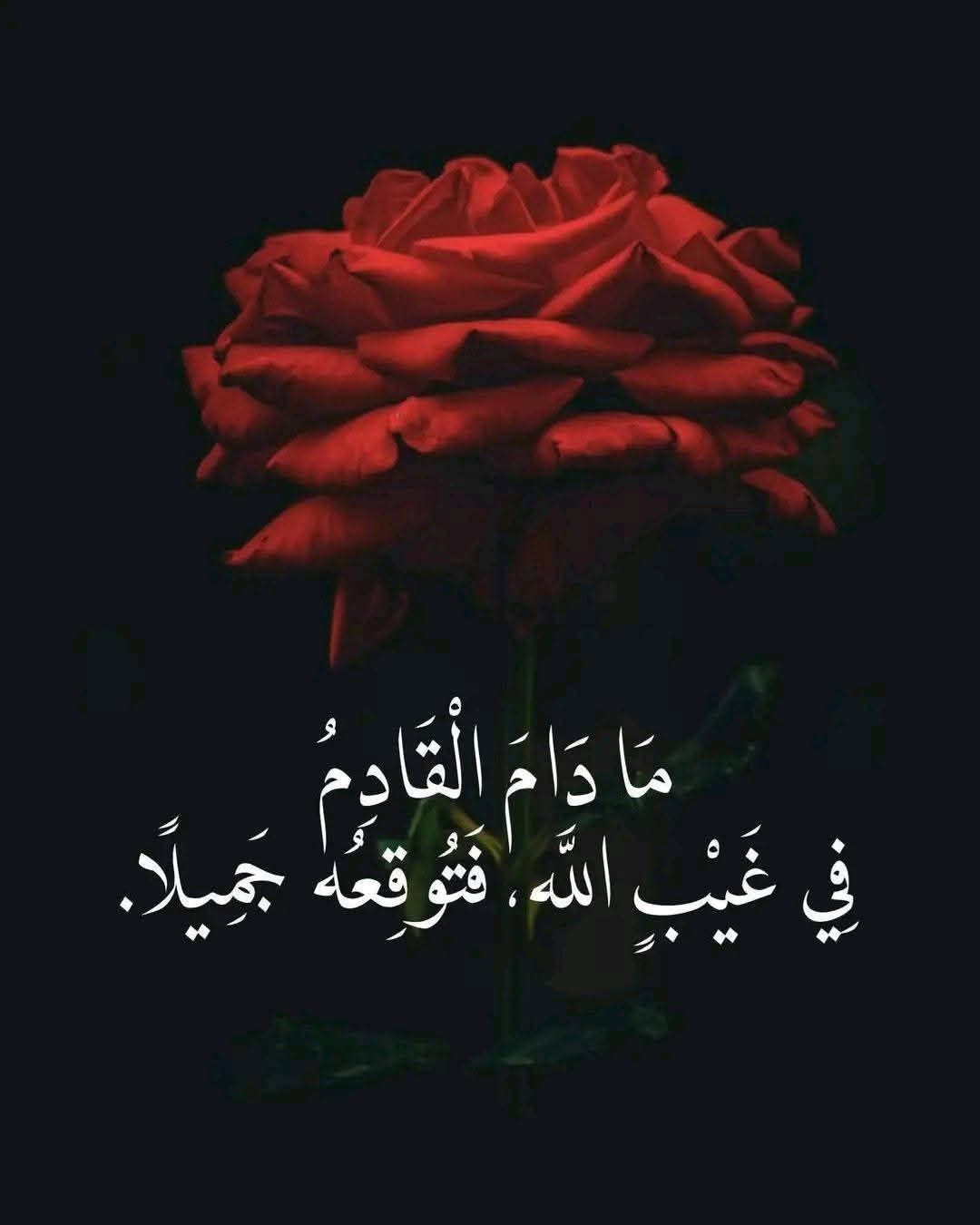 روضة نور الشمس • اشتراك روضة • النترا حديثة
