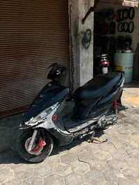 فراشه • كامكو • شغالات