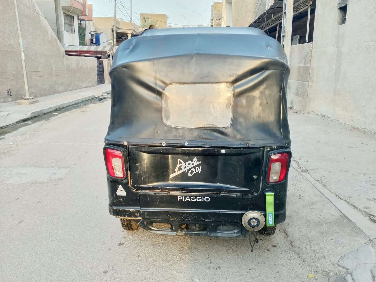 موديل ١٩ • زنجيل بياجو • أوراق أصلية