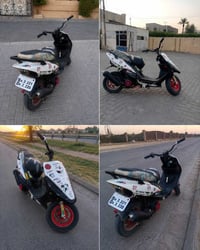 مراوس شعندك نزل أو بيع 07738642289  كفرات اصليات مختمات موشمات   سوادا...