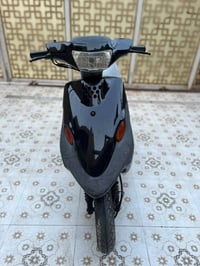 9زورف • شغاله • مجال بسيط