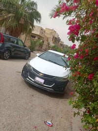 شفرليت كروز • ٢٠١٩ • معوقين