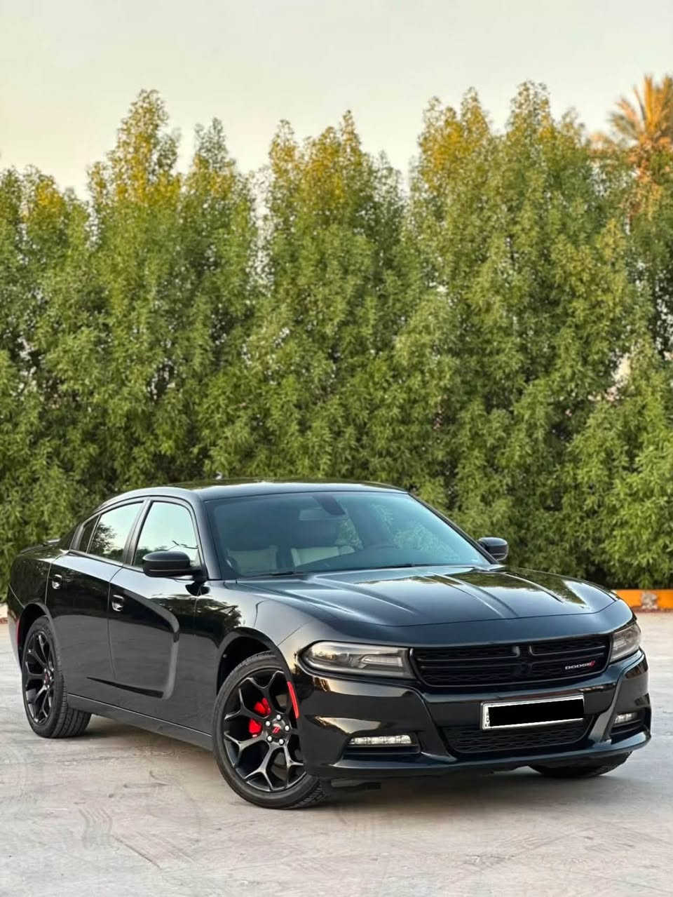السلام عليكم
جارجر 2018 SXT بلاس فول مواصفات عدا السلايت كلين تايتل السياره حيل جديدة وحلوه بدون صبغ حتى دعاميات بدون صبغ بيها تعديل بارد واحد صغير وميبين اصلا 

العداد / 85000 مايل 

محرك / V6 3600

✅مواصفات 

شاشة 

بصمة 

مقاعد تدفئة تبريد 

مقاعد خلفي تدفئة

مقاعد جلد 

مقاعد  خرن

حساس خلفي 

لايت led 

تشغيل عن بعد 

تحكمات ستيرن 

ستيرن تدفئه 

لايت زنون اصلي 

وباقي مواصفات ال SXT بلاس المعروفه سياره دينار متصرف عليها جاهزة من كل نواحي 

رقم دهوك تحويل ثاني يوم 

مكان سياره بغداد

للاتصال 

***********
