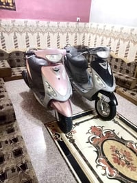 ماكس منغولي • ٤٩ • شغاله