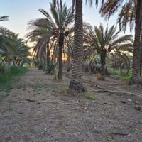 كربلاء • ٢٣٦٠م • واجهة ١٧م
