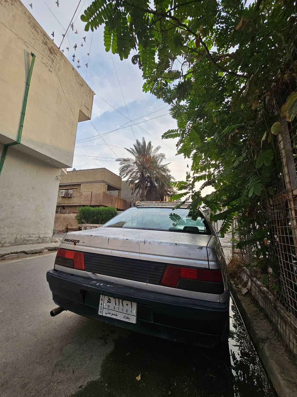 السلام عليكم
بيجو ورى 2008 اكسل
سيارة يرادلها ترتيبات
سنوية ساقطه من 2019
تبريد ثلج
مكينة نشطه
***********
بغداد الدولعي
