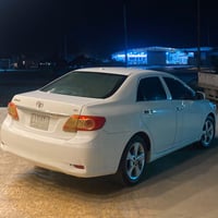 كورلا • ٢٠١٠ • سامراء