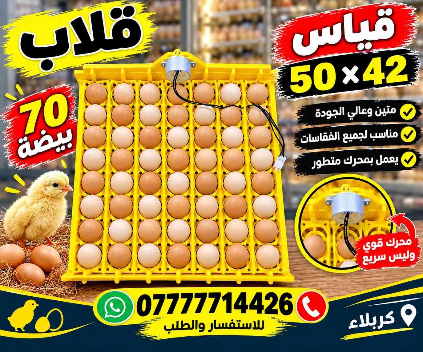مستلزمات فقاسات • قلاب ٥٠×٤٢ • كربلاء