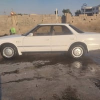 مارك • بدون صبغ • كوت الحكيم