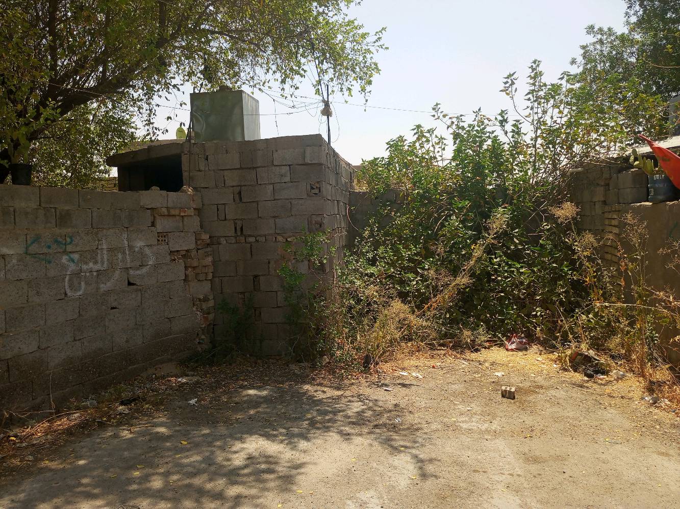قطعه ارض زراعي مساحه 160 متر العرض 8متر والطول 20متر يوجد مجاري وتبليط وكهرباء ومي ونت السعر 12 مليون وبيها مجال بسيط العنوان بغداد المعامل او قضاء الزوراء العماري القريه الفلاحيه رقم الهاتف ***********
الأرض عليها سند/طابو لو عقد زراعي؟ وشنو نوعه بالضبط؟: 
زراعي 
ممكن توضحلي الموقع بالتحديد أكثر: أي محلة/زقاق/رقم قطعة حتى يگدر المشتري يوصل إلها بسهولة؟: 
بغداد المعامل العماري القريه الفلاحيه 
المدخل والواجهة شكد بالضبط؟ وهل الشارع أمامها مؤجر/معبد بالكامل لو بس جزء منه؟: 
8×20
الأرض مسموح بيها بناء لو استخدامها زراعي فقط؟ وبيها أي قيود أو مشاكل قانونية لازم يعرفها المشتري؟: 
نعم مسموح بيها بناء 
السعر 12 مليون نهائي لو قابل للتفاوض؟ وشنو طريقة البيع عندك: كاش فقط لو أكو إمكانية تقسيط/تحويل؟: 
قابل للتفاوض بيع كاش