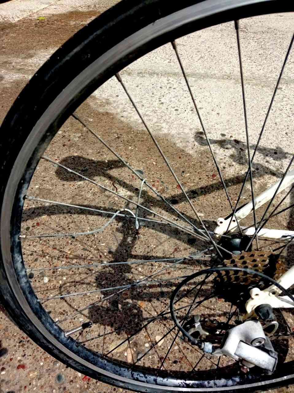 بــايــسكل 【هــَـجـين】للــبـيـع 🚲
ســلامُ علــيكـم👤 بــايســكل [هــجــين] مــعـروض للــبــيع 🚀 صطبــات أمــاميــة وخــلفــية🔥7 كــيــر⚡️ مــقــود مـســتقــيم صــنــاعةHybrid/City bike) 🛘  الــعيــب الــبـي الـويــل الخــلـفــي مُـــقــوس مــثل ما متــواجــد بلــ صورة الــسعــر: 160الـــف💵 وبــي مجــال للطــيــبـين🗿【للتواصل *********** رقـــم واتـــساب】
أو مــن صـفــحة الفيــســبوك التـــي نــُــشر منــها المـــنشــور...👋
