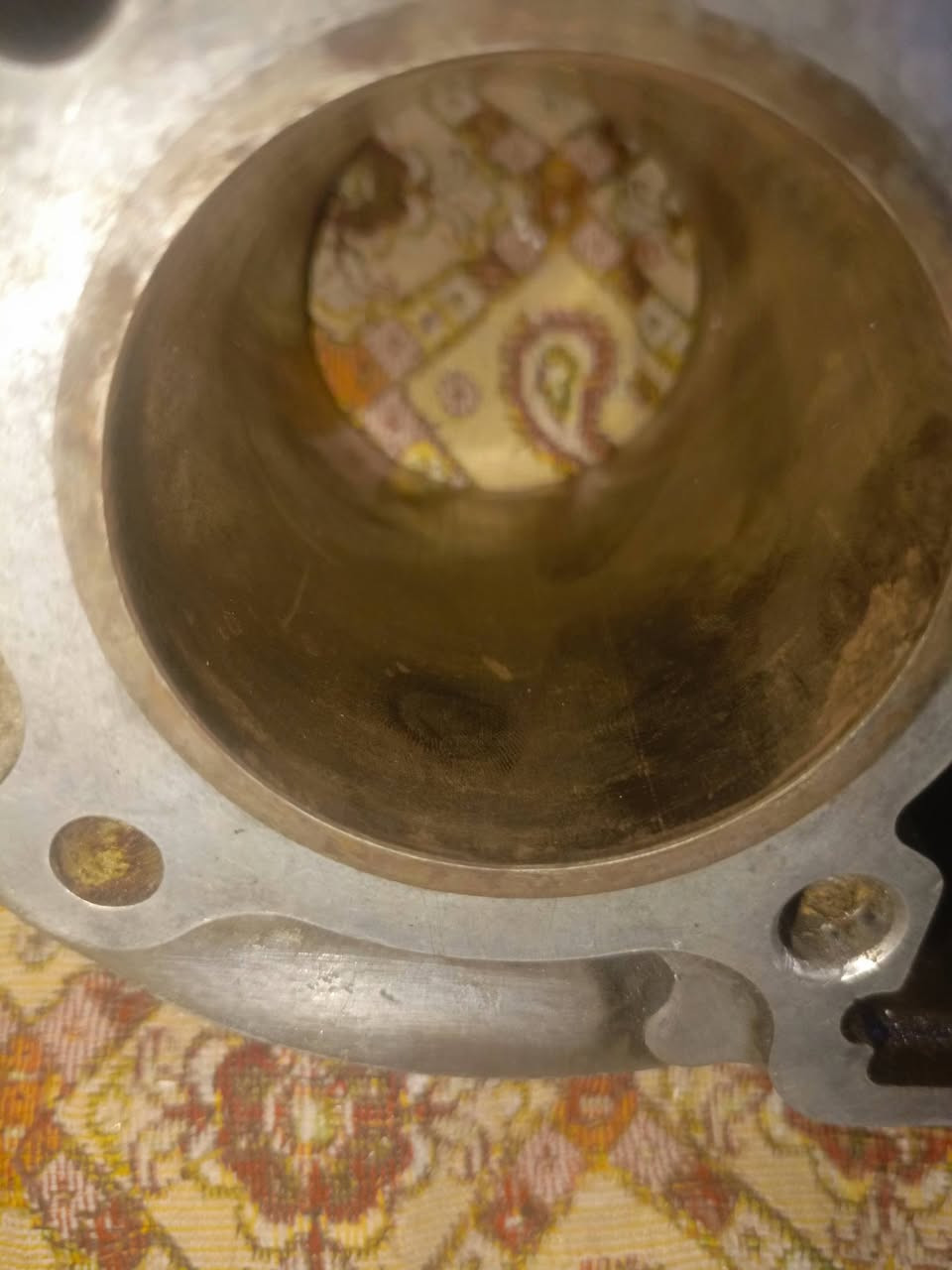 بوشة سكنس • ٥٨٫٥