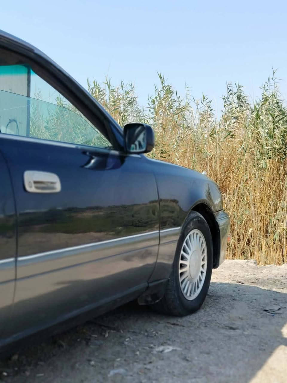 بيع مستعجل
بيع فقط بدون مراوس 
السلام عليكم 
راس الثور فلات 
موديل ١٩٩٥
شاصي ٥٥
گير ومكينه ٣٠٠٠ فيشتين كارتون 
تبريد منضومه كامله مشدوده 
حداديه ٨٠٪؜
باور جديد 
بجم ابو عيون 
تايرات جدد 
باتري وداينمو جدد 
سياره مال جناي 
ملاحضه (سياره قماره وجنطه)
تريد مداور تريد وكاله 
مكان السياره بابل قضاء الكفل 
رجاءاً المايشتري لايضل يعامل 
سعر ٦٠ قفل وشراي يدلل 

***********
الشراي يشلع عيوني
