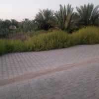 خلف الملعب القديم • ٣٠٠م • كافة الخدمات
