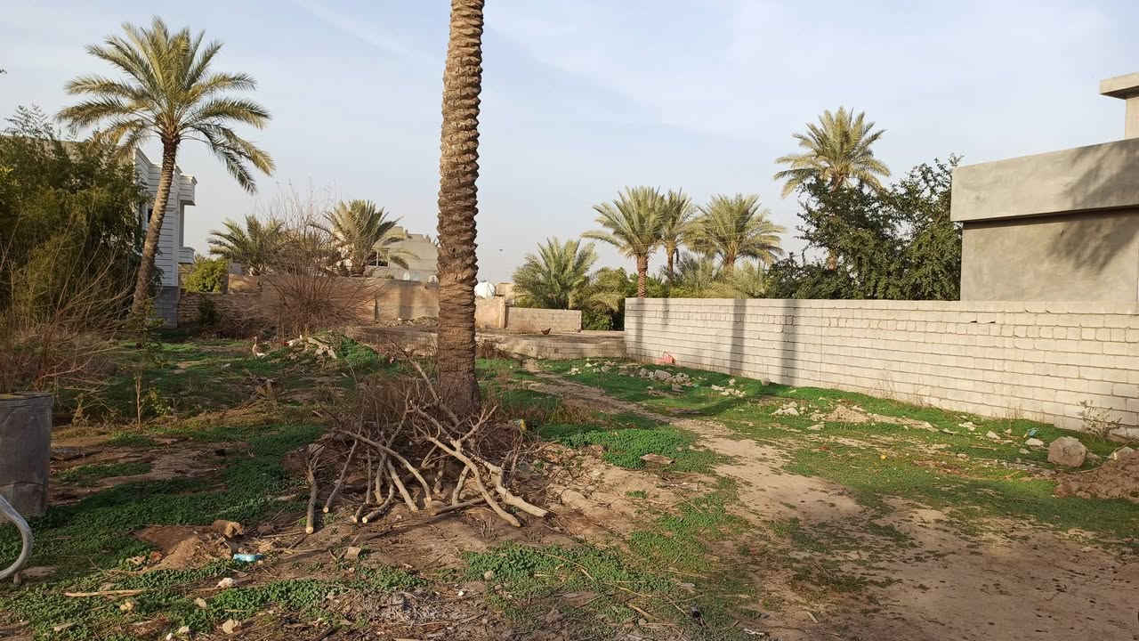 البدعيه • طابو زراعي • ٤٦٠م