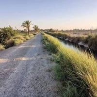 للبيع المستعجل فرصة مميزة لامتلاك أرض على ضفاف نهر دجلة المساحة: 10 دو...